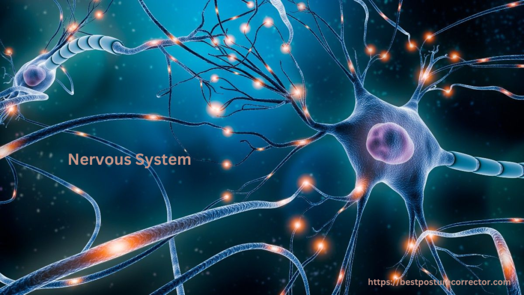 Understanding the Warning Signs of Guillain-Barré Syndrome: What You Need to Know